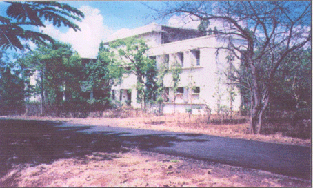 Rajaram College : Department of Botany